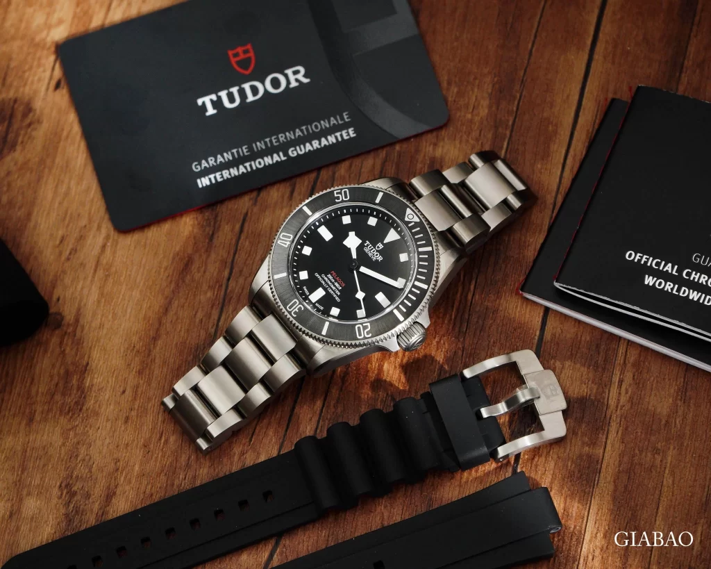 Tudor Watches The Journey from Switzerland to the Pinnacle of Glory (1)