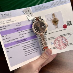 Rolex DateJust Gold Wrapped Chocolate Dial GM Factory 41mm (3)