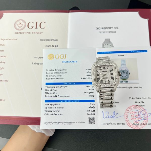 Cartier Santos Iced Out Moissanite Replica Watches BV Factory (11)