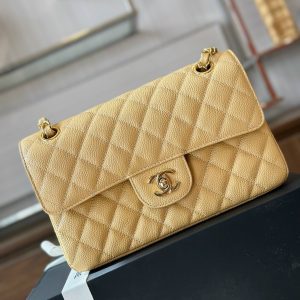 Chanel Classic Small Grain Leather Gold Buckle Replica Bags 23cm (2)