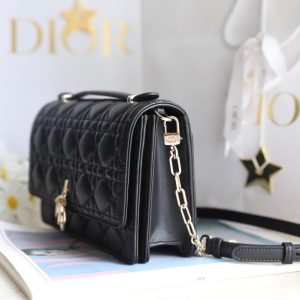 Dior Woc Mini Black Replica Bags Gold Buckle 24x14x7 (2)