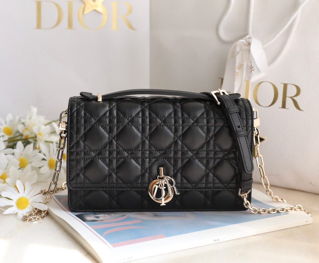 Dior Woc Mini Black Replica Bags Gold Buckle 24x14x7 (2)