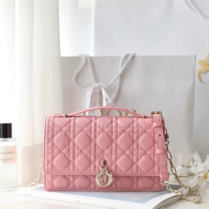 Dior Woc Mini Pink Replica Bags Gold Buckle 24x14x7 (11)