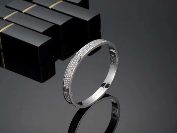 Cartier Love 18k White Gold Natural Diamond Pave Bangle Bracelet Custom (2)