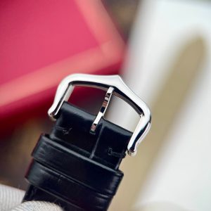 Cartier Santos Dumont WSSA0032 Best Replica Watch 46,6x33,9mm (3)