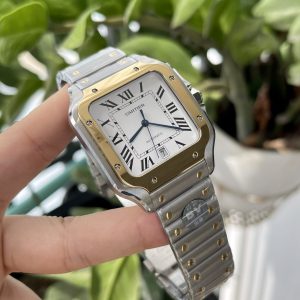 Cartier Santos W2SA0009 BV Factory Best Replica Watch 39 (1)