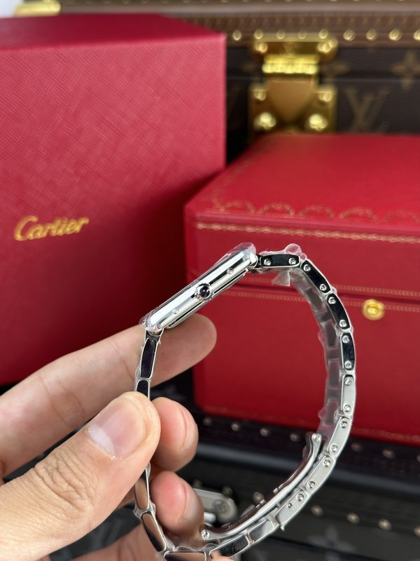 Cartier Tank Solo Replica Watches Metal Wire AF Factory 22.5×33 (1)