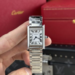 Cartier Tank Solo Replica Watches Roman Numeral Pile Dial AF Factory 22.5×33 (1)