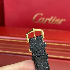 Cartier Tank Solo Yellow Gold Best Replica Watch Quartz Movement (1)