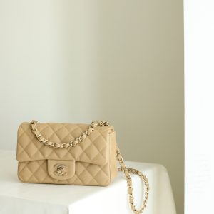 Chanel Classic Flap Mini Replica Bags Beige Colored Womens 20cm (2)