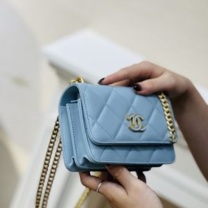 Chanel Woc Womes Cowhide Light Blue Replica Bags Size 15cm (2)