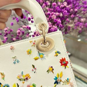 Dior Lady Womens Replica Bags Embroidered Motifs 17cm (2)