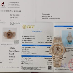 Patek Philippe Nautilus 5719 18K Gold Wrapped Customs Full Moissanite Diamonds 40mm (13)
