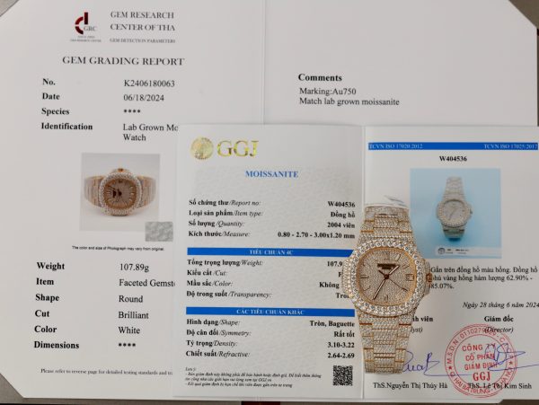 Patek Philippe Nautilus 5719 18K Gold Wrapped Customs Full Moissanite Diamonds 40mm (13)